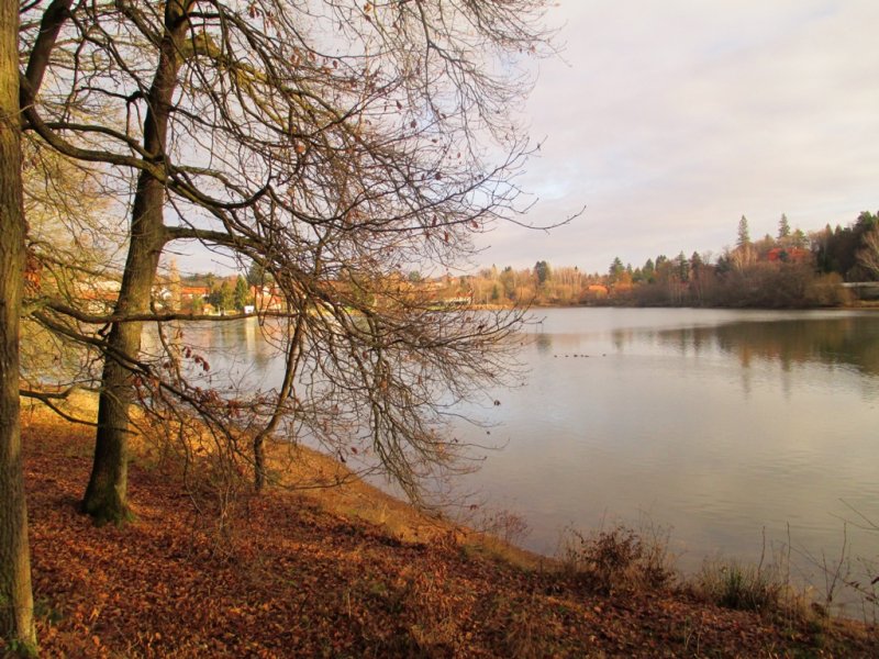 fotografie z akce NsL- Kozojedy-Mukařov 14.5 km