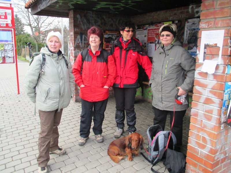 fotografie z akce NsL- Kozojedy-Mukařov 14.5 km