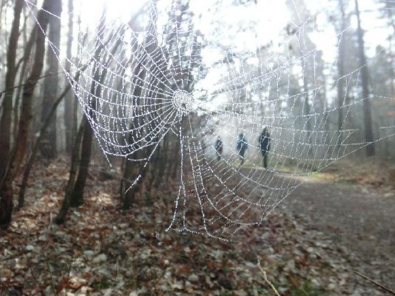 fotografie z akce NsL Říčany-Řitka-Dobřichovice