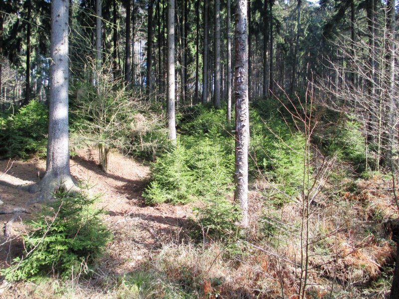fotografie z akce NsL Říčany-Řitka-Dobřichovice