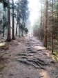 fotografie č. 14