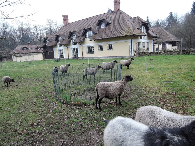 fotografie z akce NsL Běchovice   Klánovice