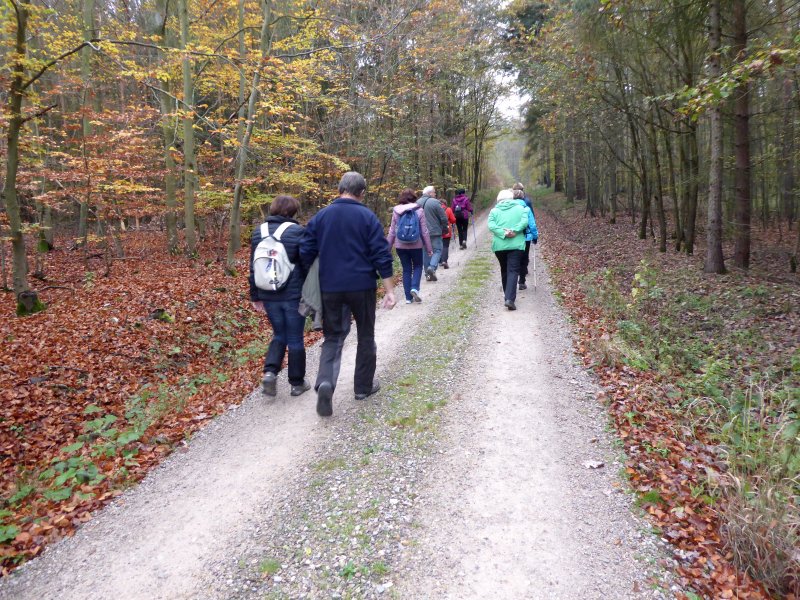 fotografie z akce NsL - Loděnice-Beroun - 13 km