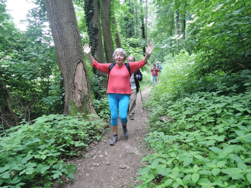 fotografie z akce NsL - Posázavská stezka-15 km