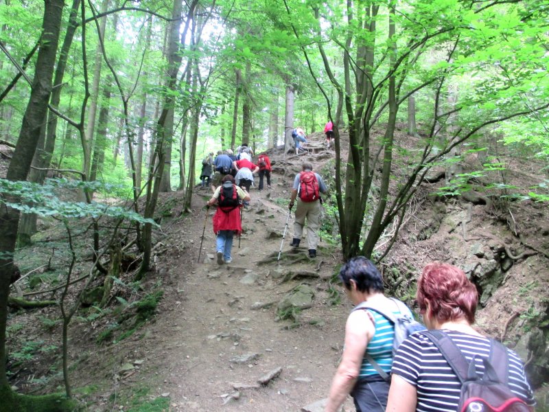fotografie z akce NsL - Posázavská stezka-15 km