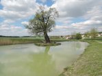 fotografie č. 26