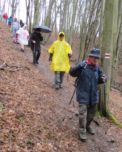 fotografie z akce NsL Všenory Měchenice 14km