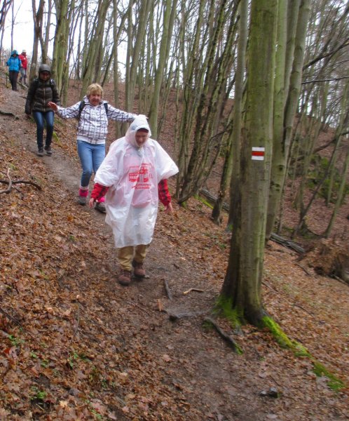 fotografie z akce NsL Všenory Měchenice 14km