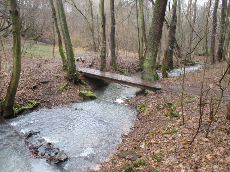 fotografie z akce NsL Všenory Měchenice 14km