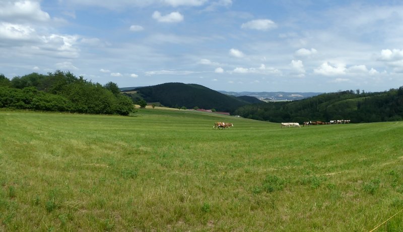 fotografie z akce NsL - Zdice-Vraní skála-Zdice 