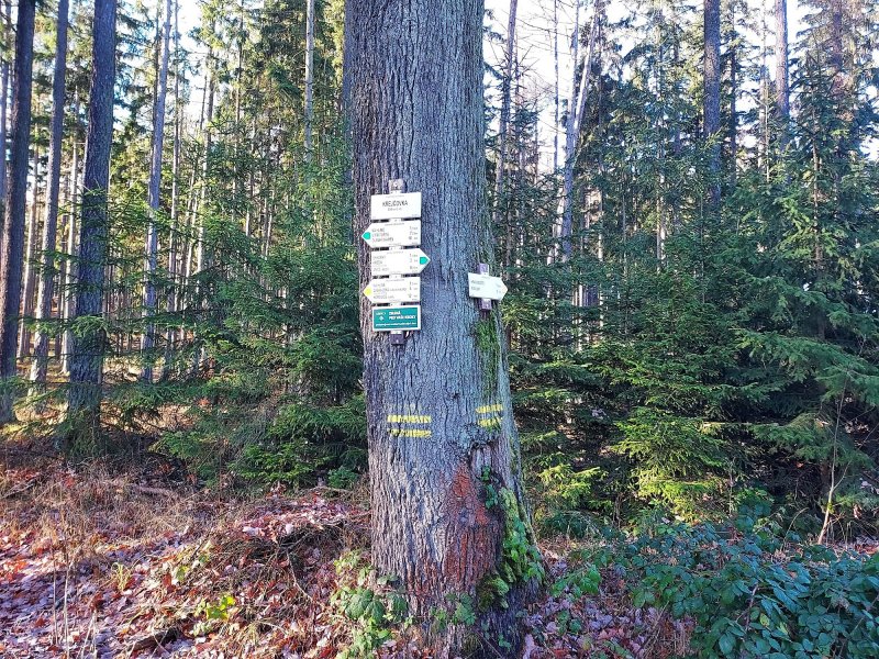 fotografie z akce Po hřebeni Brd s Přemkem