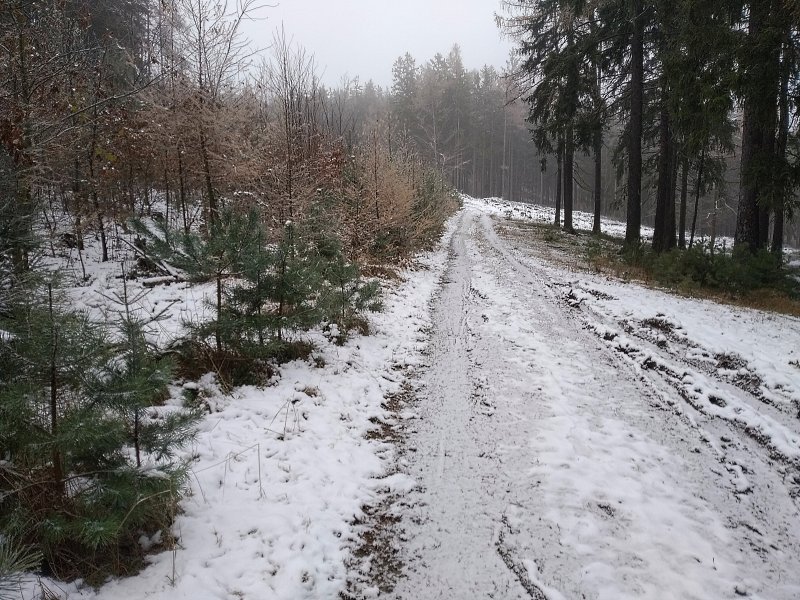fotografie z akce Po hřebenu Brd - 14. ročník