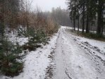 fotografie č. 14