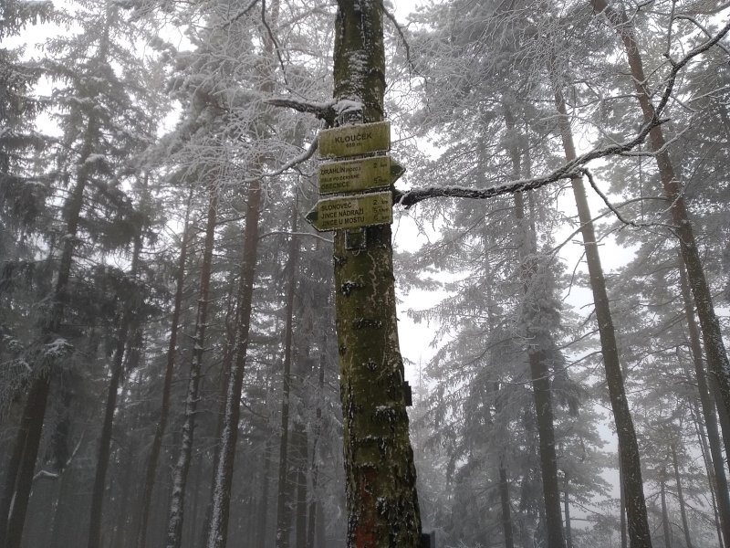 fotografie z akce Po hřebenu Brd - 14. ročník