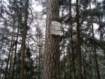 fotografie č. 20