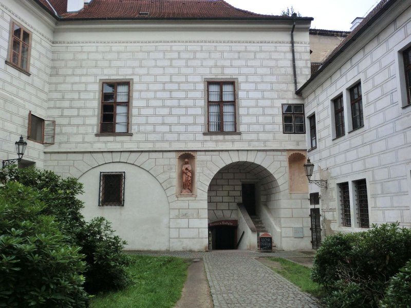 fotografie z akce Pochod pětilisté růže