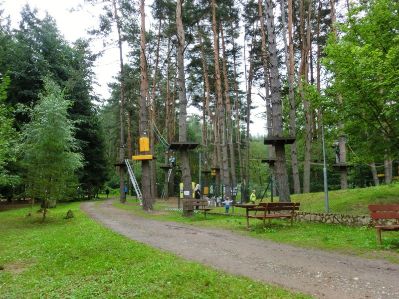 fotografie z akce Pochod pětilisté růže