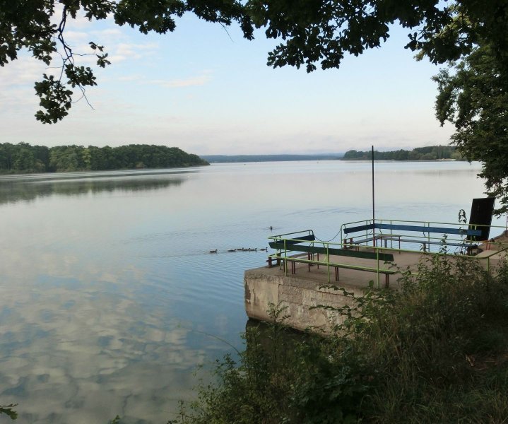 fotografie z akce Pochod pětilisté růže