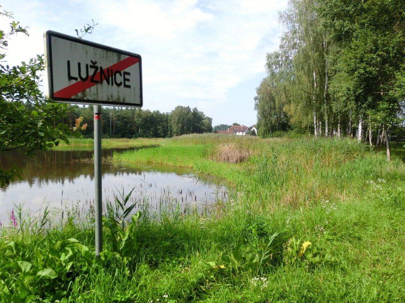 fotografie z akce Pochod pětilisté růže