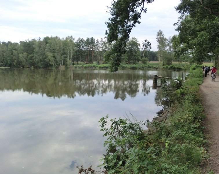 fotografie z akce Pochod pětilisté růže