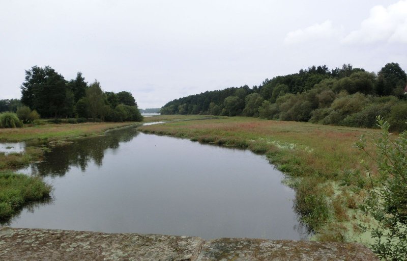 fotografie z akce Pochod pětilisté růže