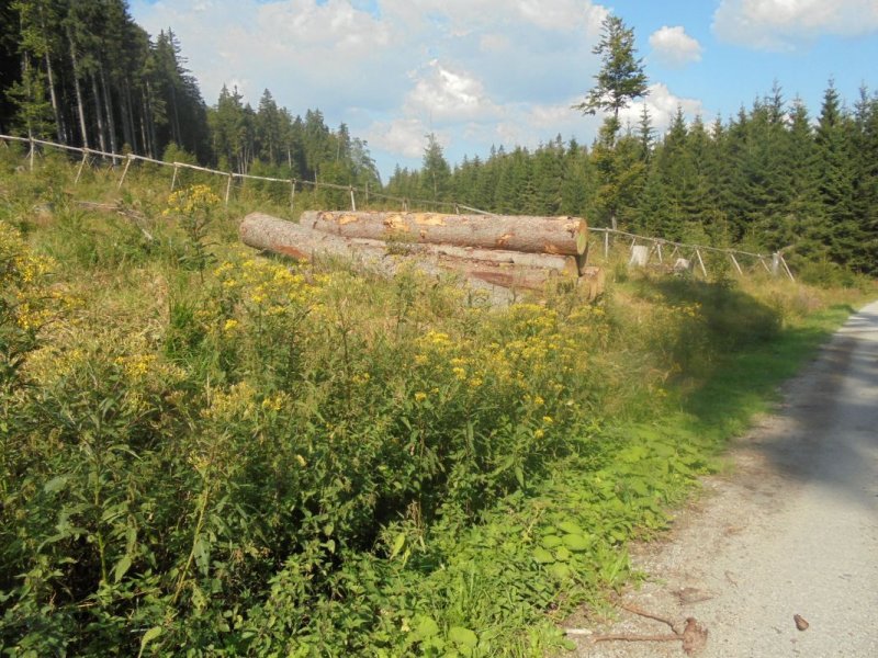 fotografie z akce Pětilistá růže Horní Planá II