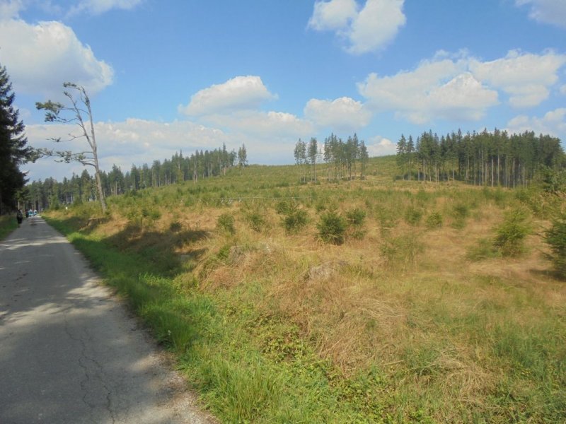 fotografie z akce Pětilistá růže Horní Planá II