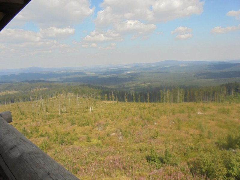 fotografie z akce Pětilistá růže Horní Planá II