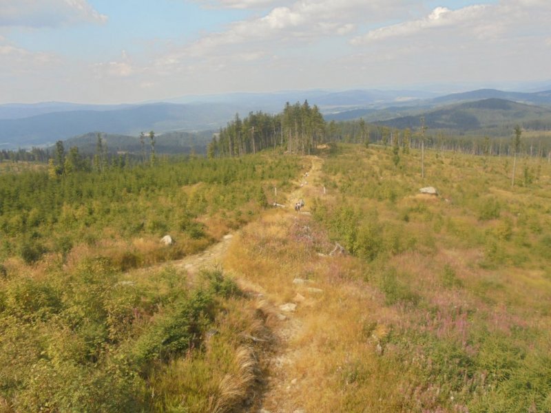 fotografie z akce Pětilistá růže Horní Planá II