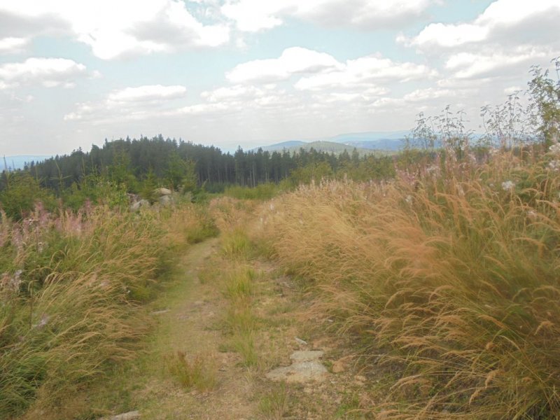fotografie z akce Pětilistá růže Horní Planá II