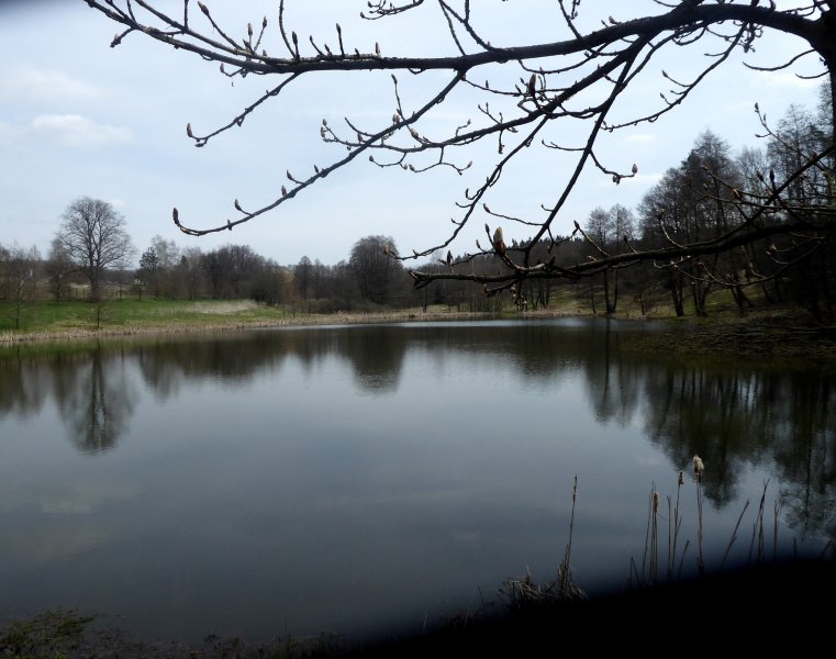 fotografie z akce S Přemkem na Blaník - 12 km
