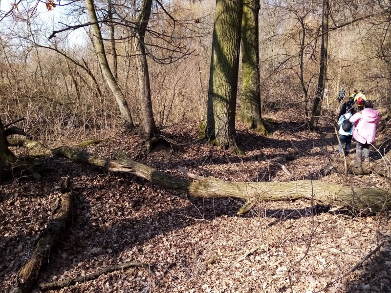 fotografie z akce S Přemkem podél Rokytky/I. 