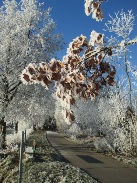 fotografie z akce Silvestrovský vejšlap 2016 