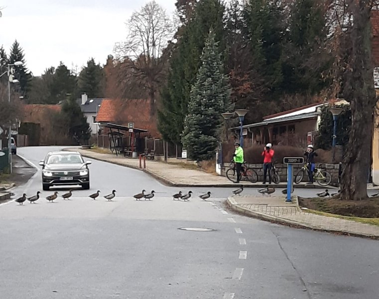 fotografie z akce Silvestrovský vejšlap 2021