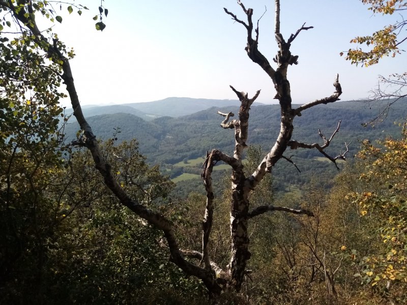 fotografie z akce SsI - Na vrchol Milešovky