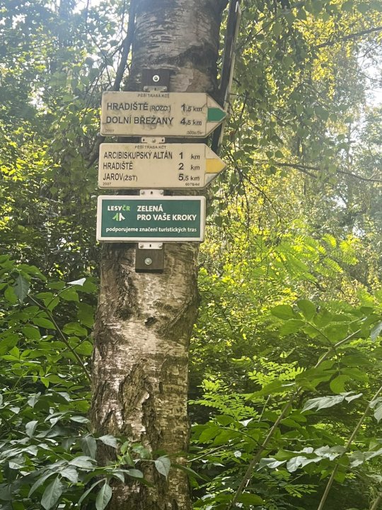 fotografie z akce SsI - Od Vltavy na Závist