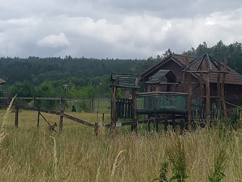 fotografie z akce SsIrenou-z Benešova do Čerčan