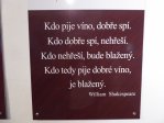 fotografie č. 13