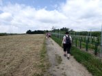 fotografie č. 29