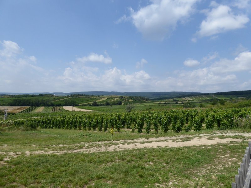 fotografie z akce Týden v Šatově s Přemkem - II.