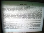 fotografie č. 16