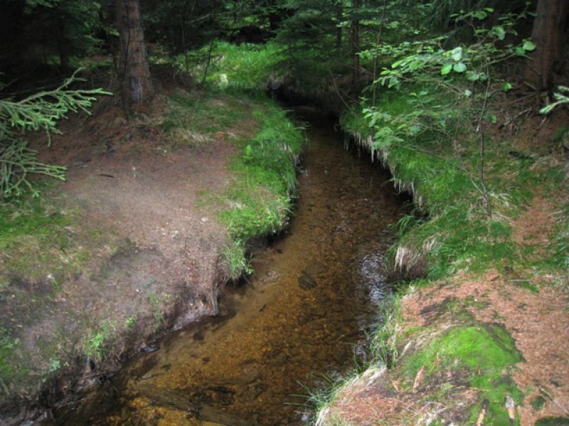 fotografie z akce Tři studně 2010