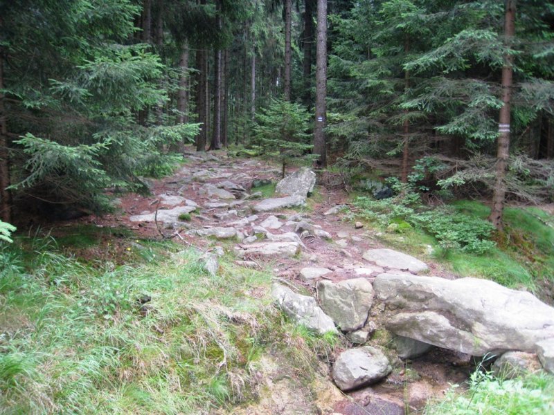 fotografie z akce Tři studně 2010