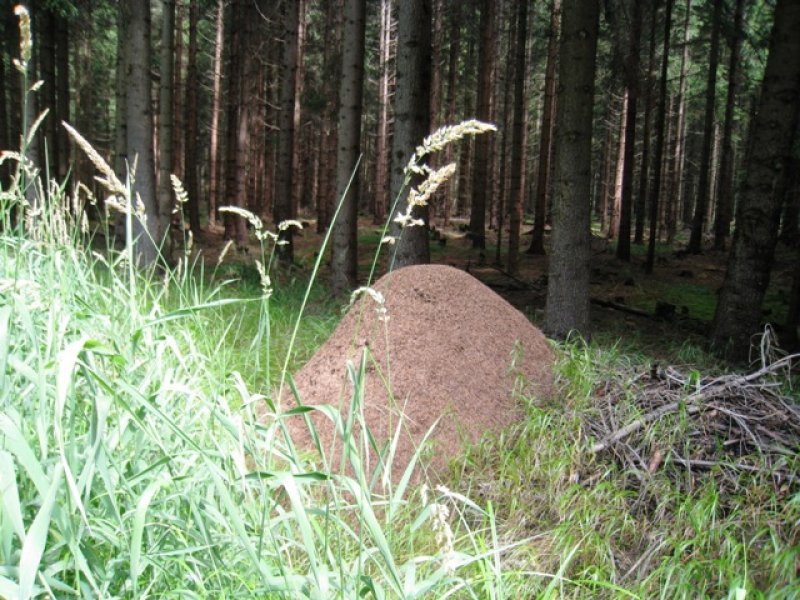 fotografie z akce Tři studně 2010