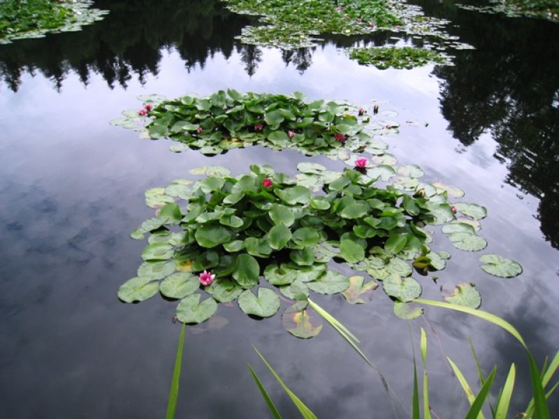 fotografie z akce Tři studně 2010