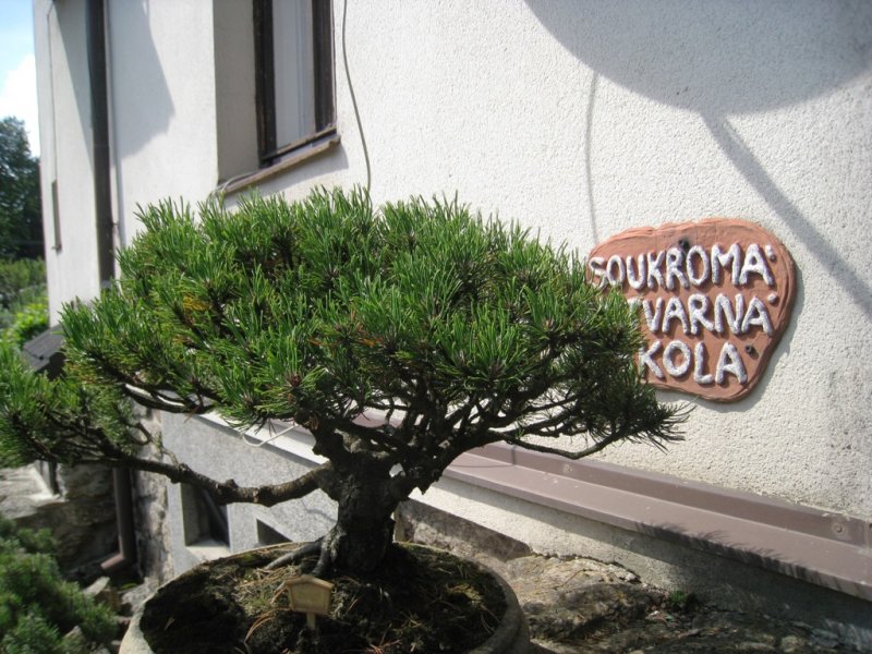 fotografie z akce Tři studně 2010