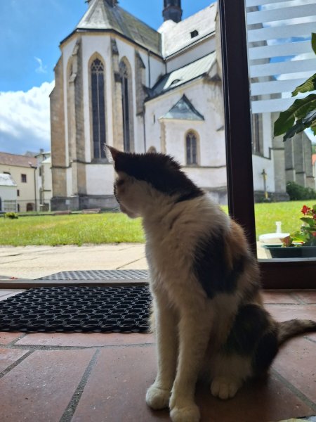 fotografie z akce Týden okolím Lipna/Ivana Š.