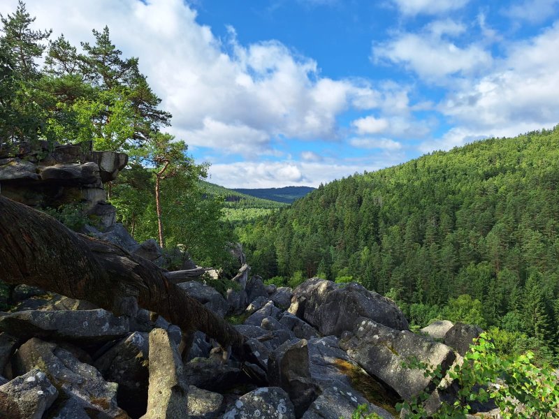 fotografie z akce Týden okolím Lipna/Ivana Š.