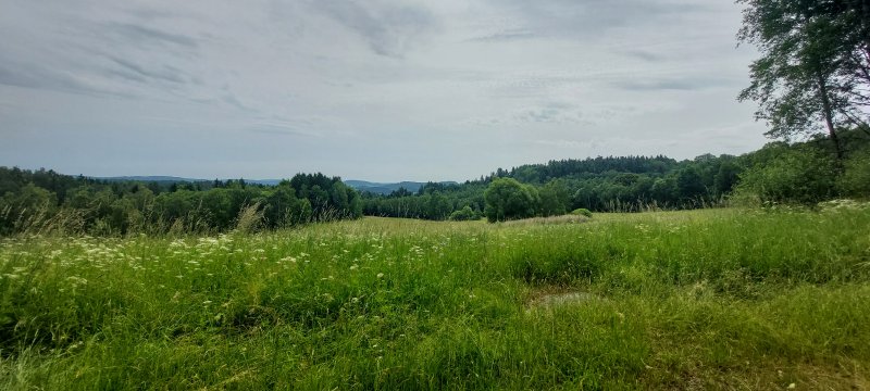 fotografie z akce Týden okolím Lipna s Přemkem