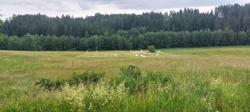 fotografie z akce Týden okolím Lipna s Přemkem